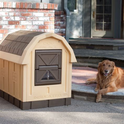 insulated metal dog house|warm dog house for winter.